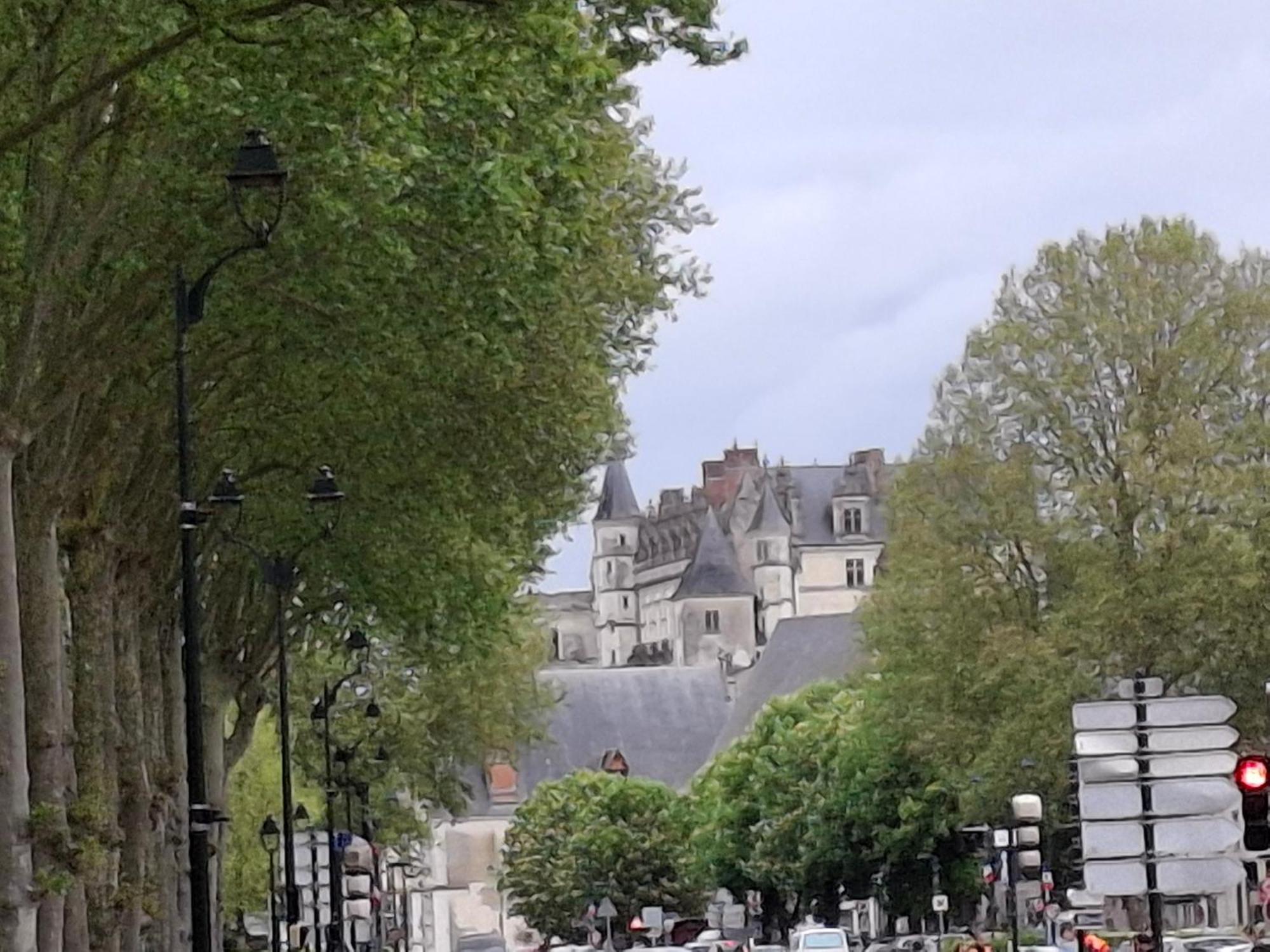 Escale Au Pied Du Chateau Amboise Exterior foto